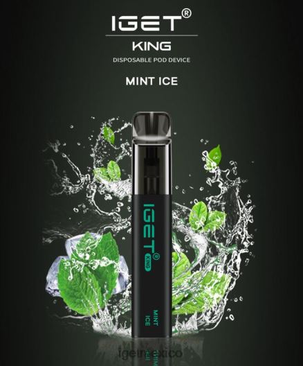 IGET Discount - rey - 2600 inhalaciones N4LF8X449 hielo de menta